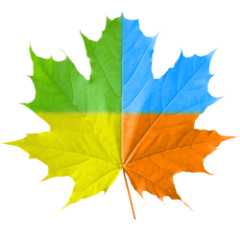 Celebrate All Seasons